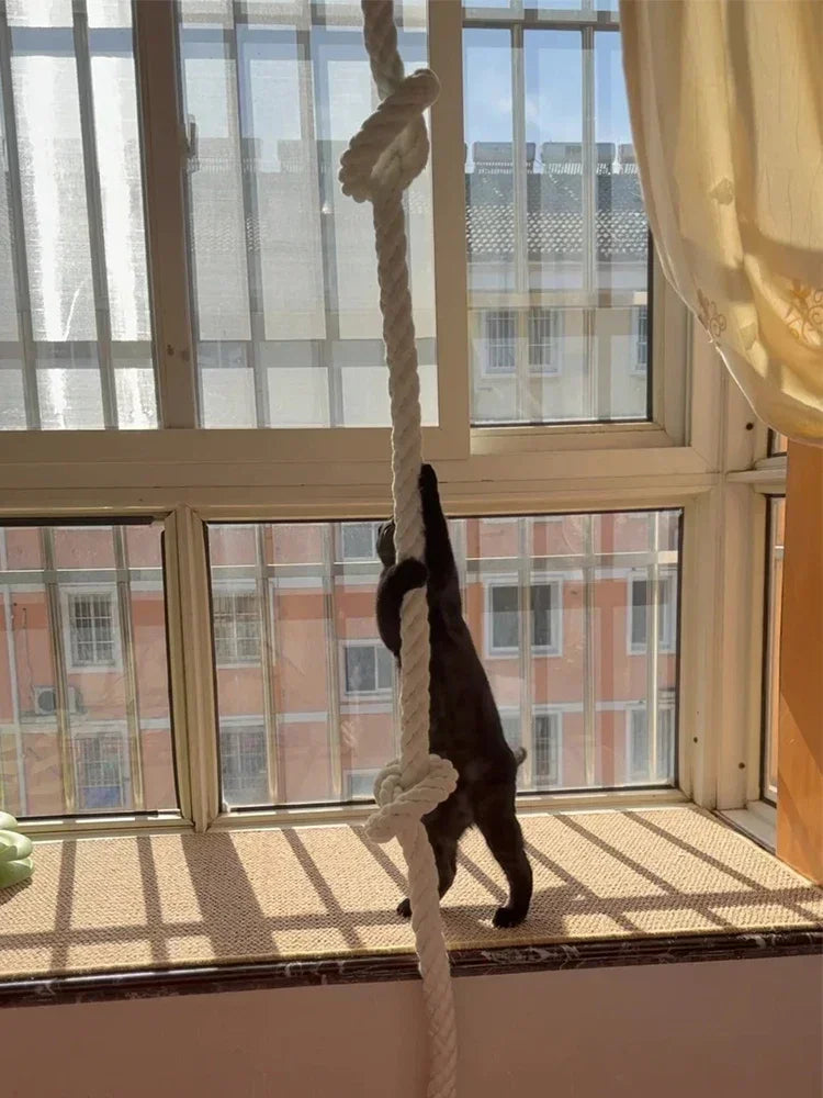 Étagère à chat, corde d'escalade en jute de 3 m, fixation au plafond, jouet à griffer pour chat